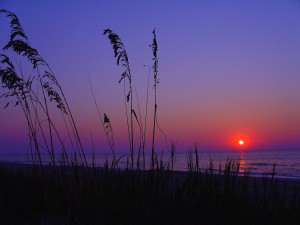 1280px-Myrtle_Beach_Sunrise1